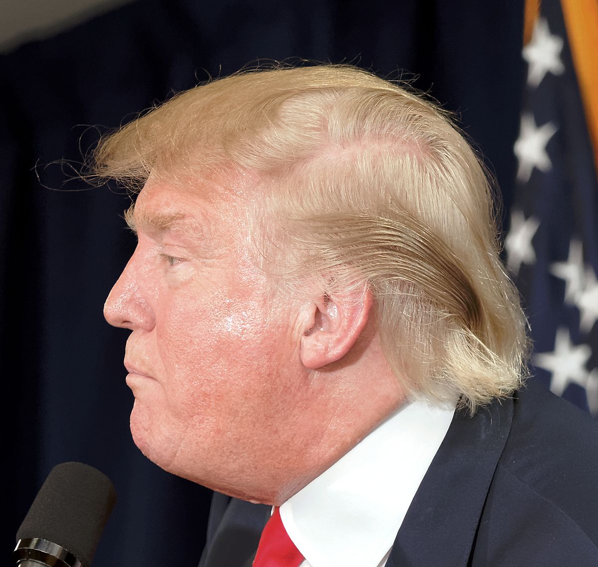Donald Trump profile