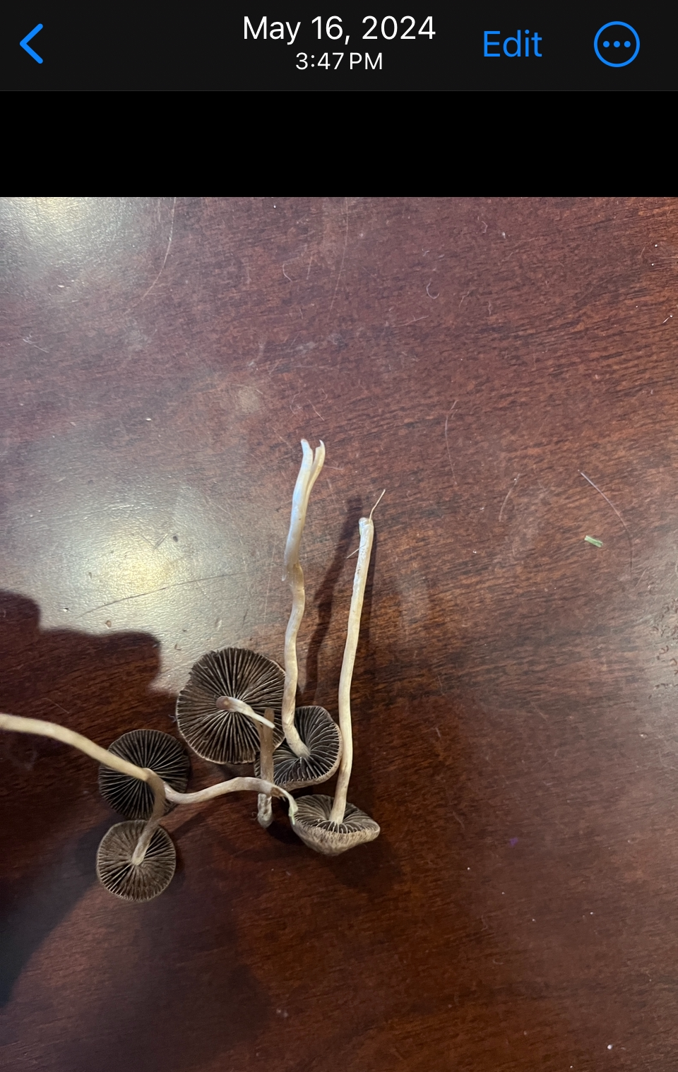 1739321657858 1739321657858