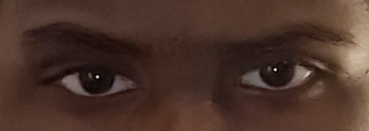 1000027331