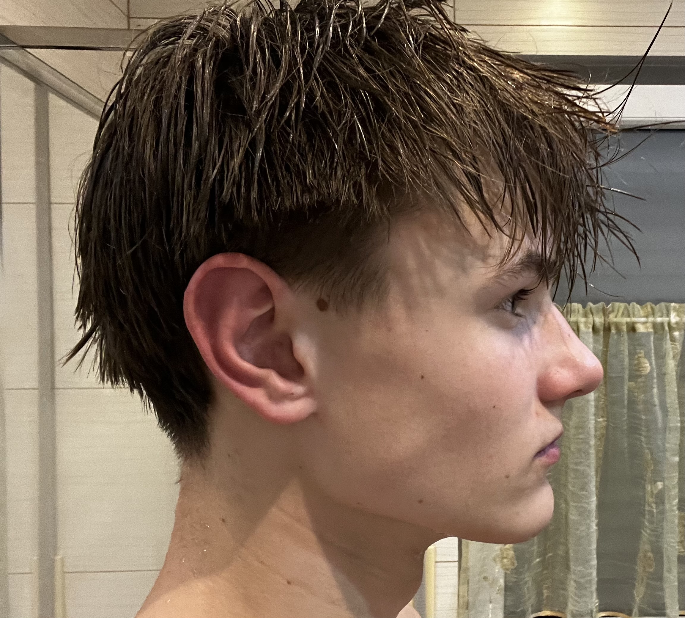 IMG 0675