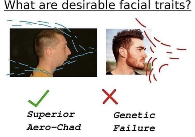 1739794125096
