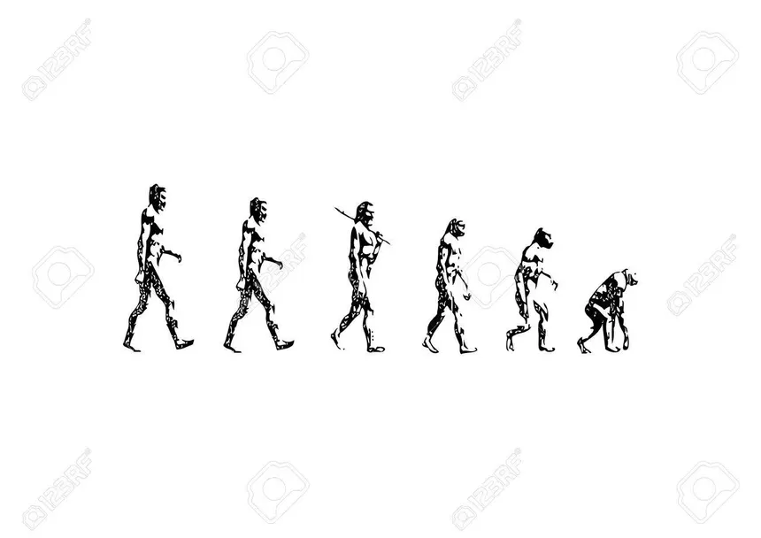 4227328 devolution