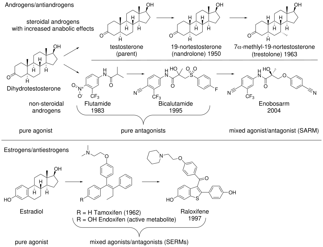 AR agonist antagonist SARM 1