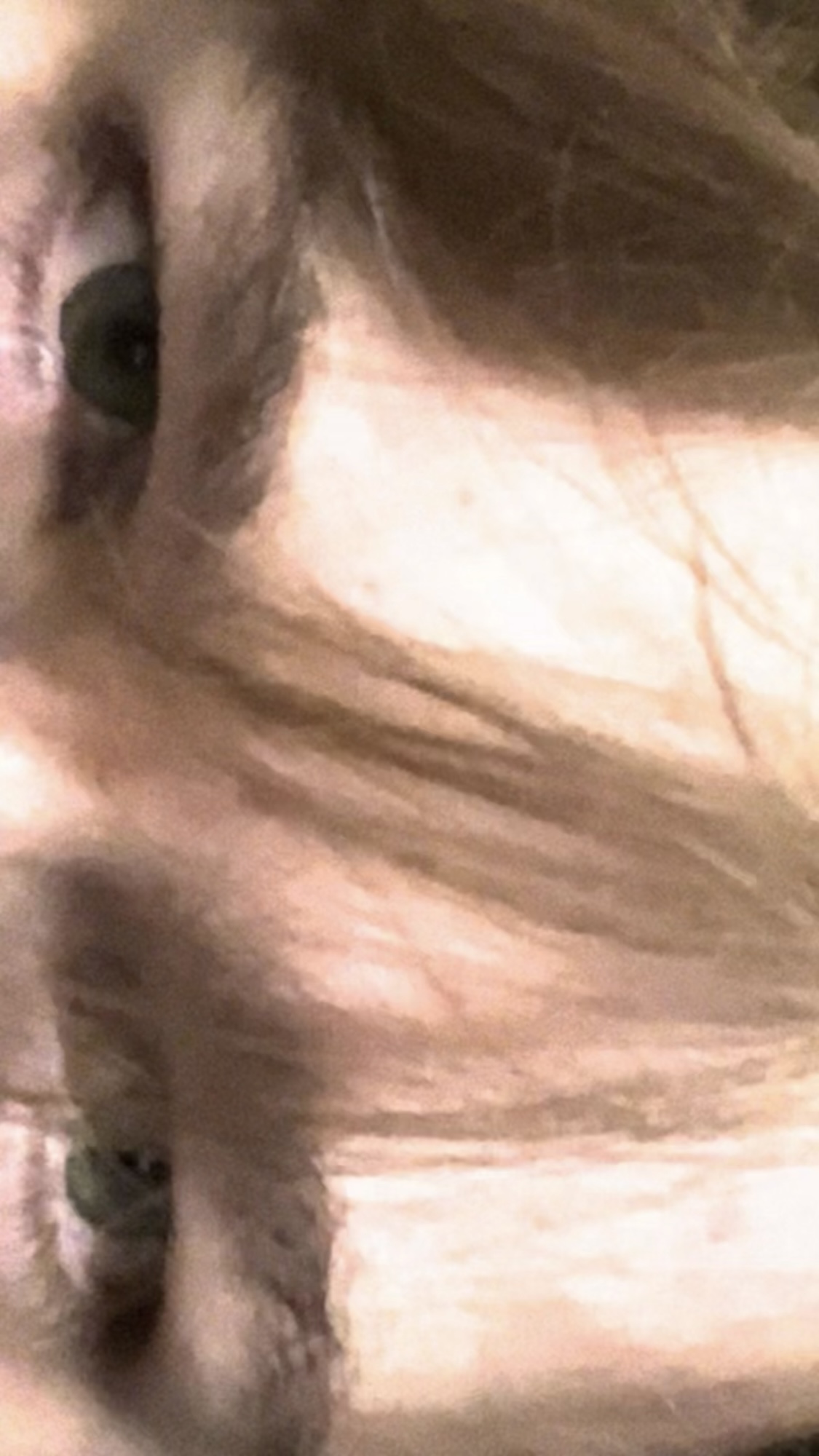 IMG 3400