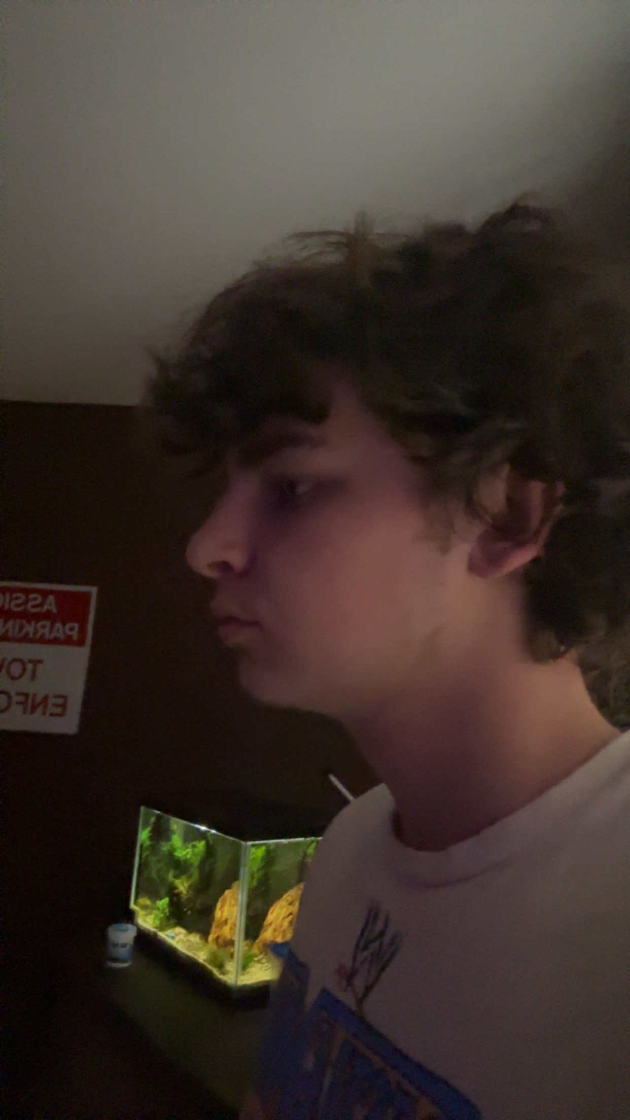 IMG 1717
