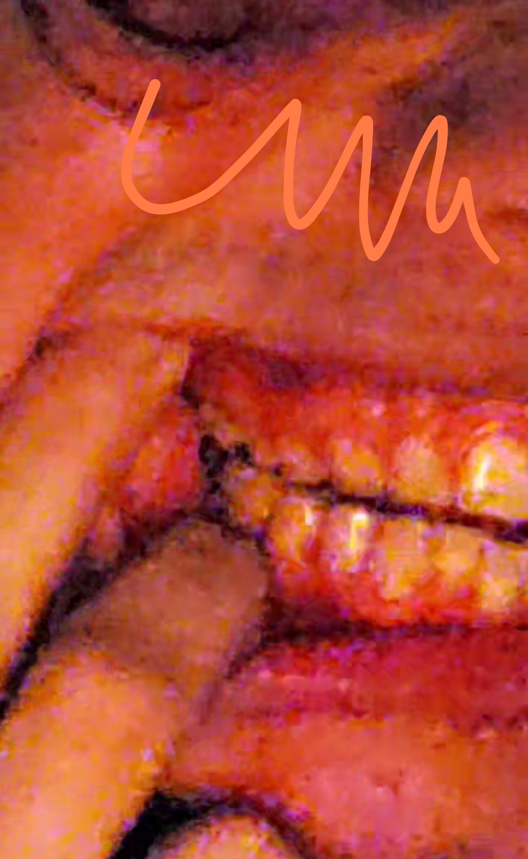 IMG 20250223 154247