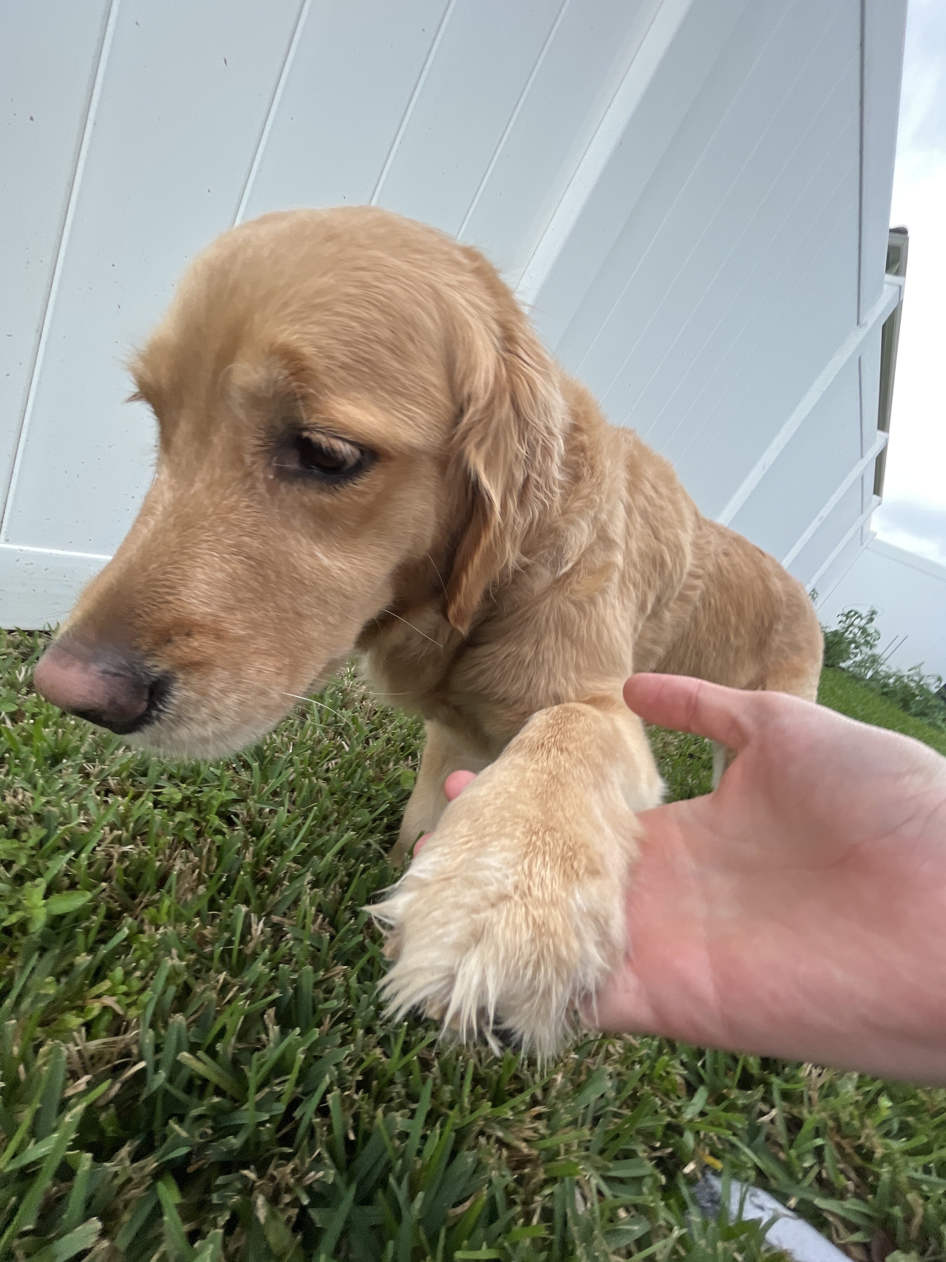 0A3A5F09 DB2C 4147 BCAB A23D0C4A9491