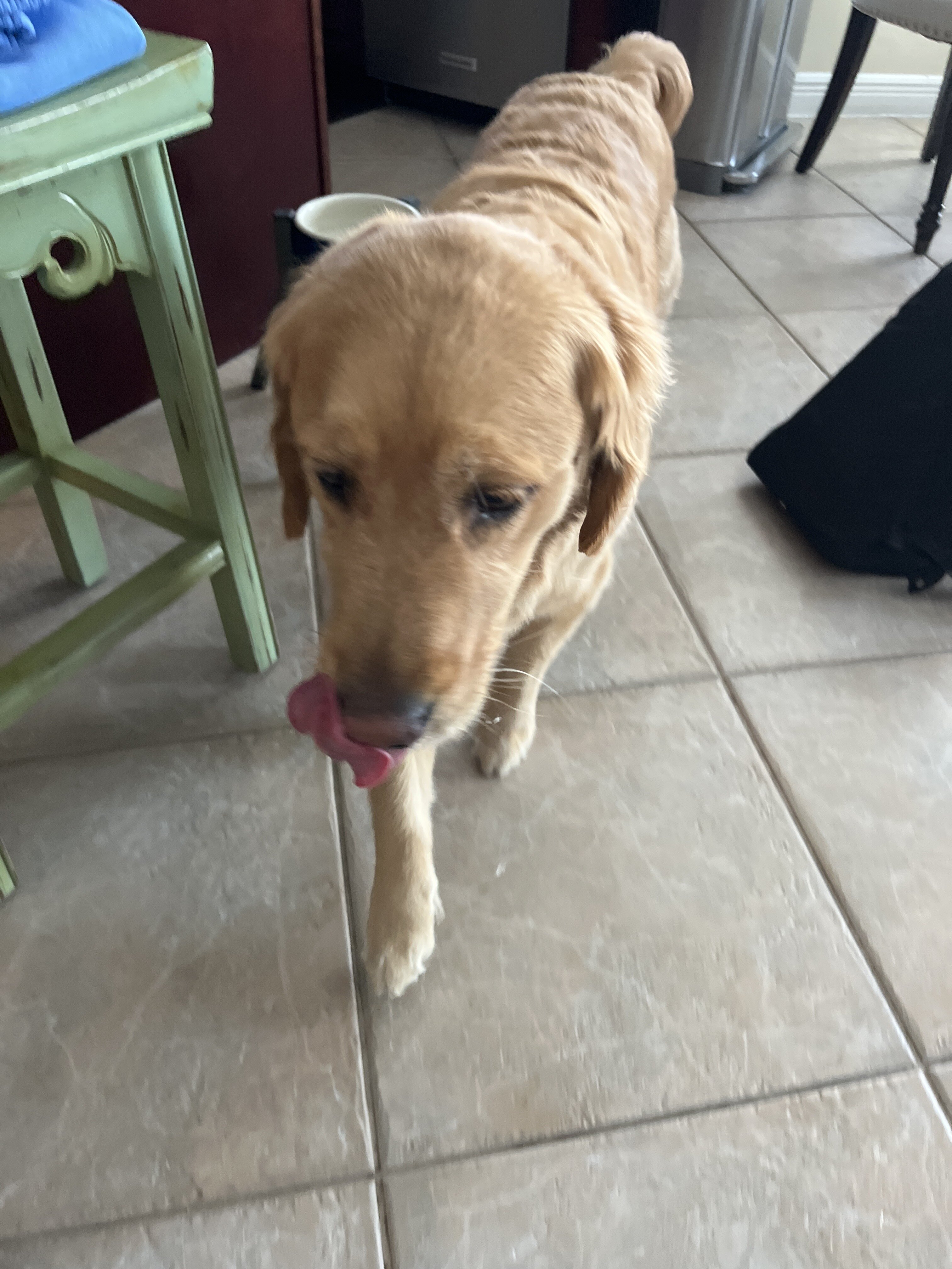 9938558D 1868 4418 A9DE 402BD869CB52