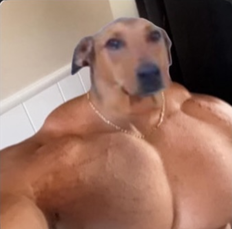 Screenshot 20240831 192815 1