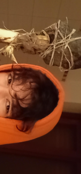 Screenshot 2025 02 25 185052