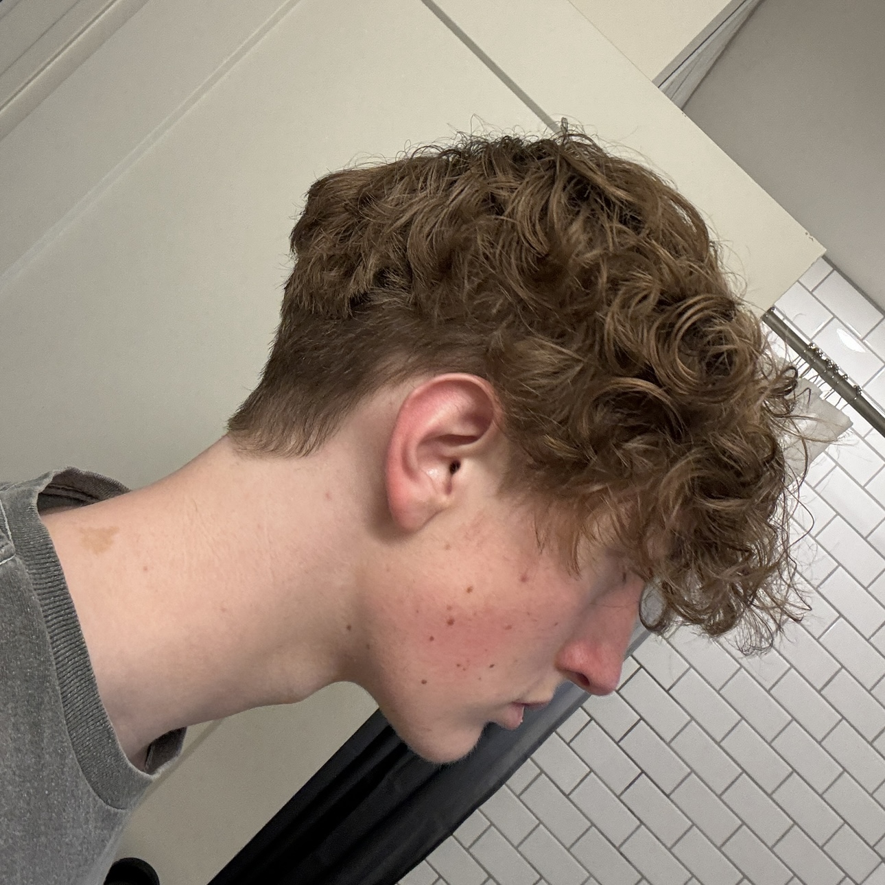 IMG 1241