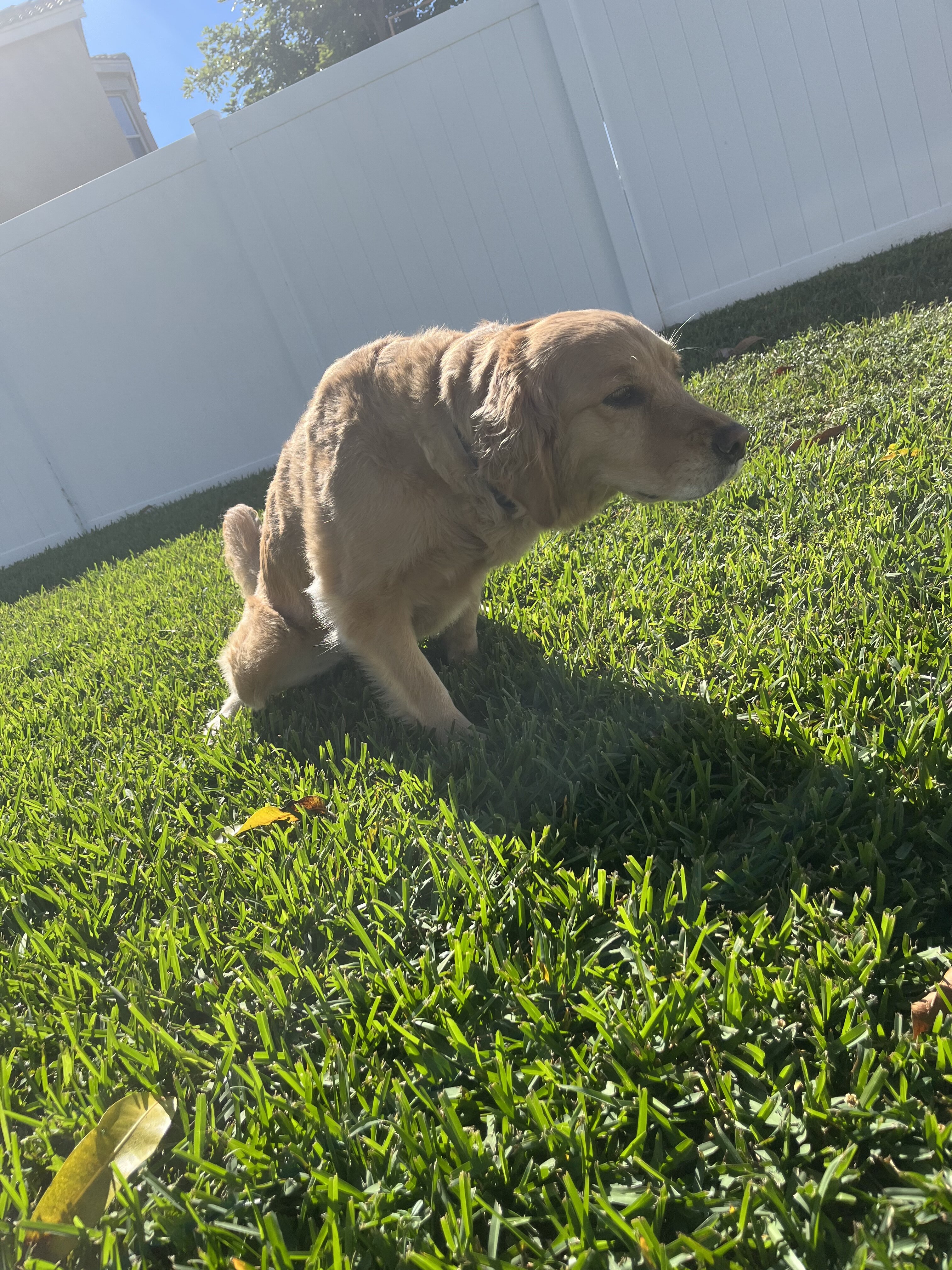 E6E60353 8635 4260 BBCE 813D19381005