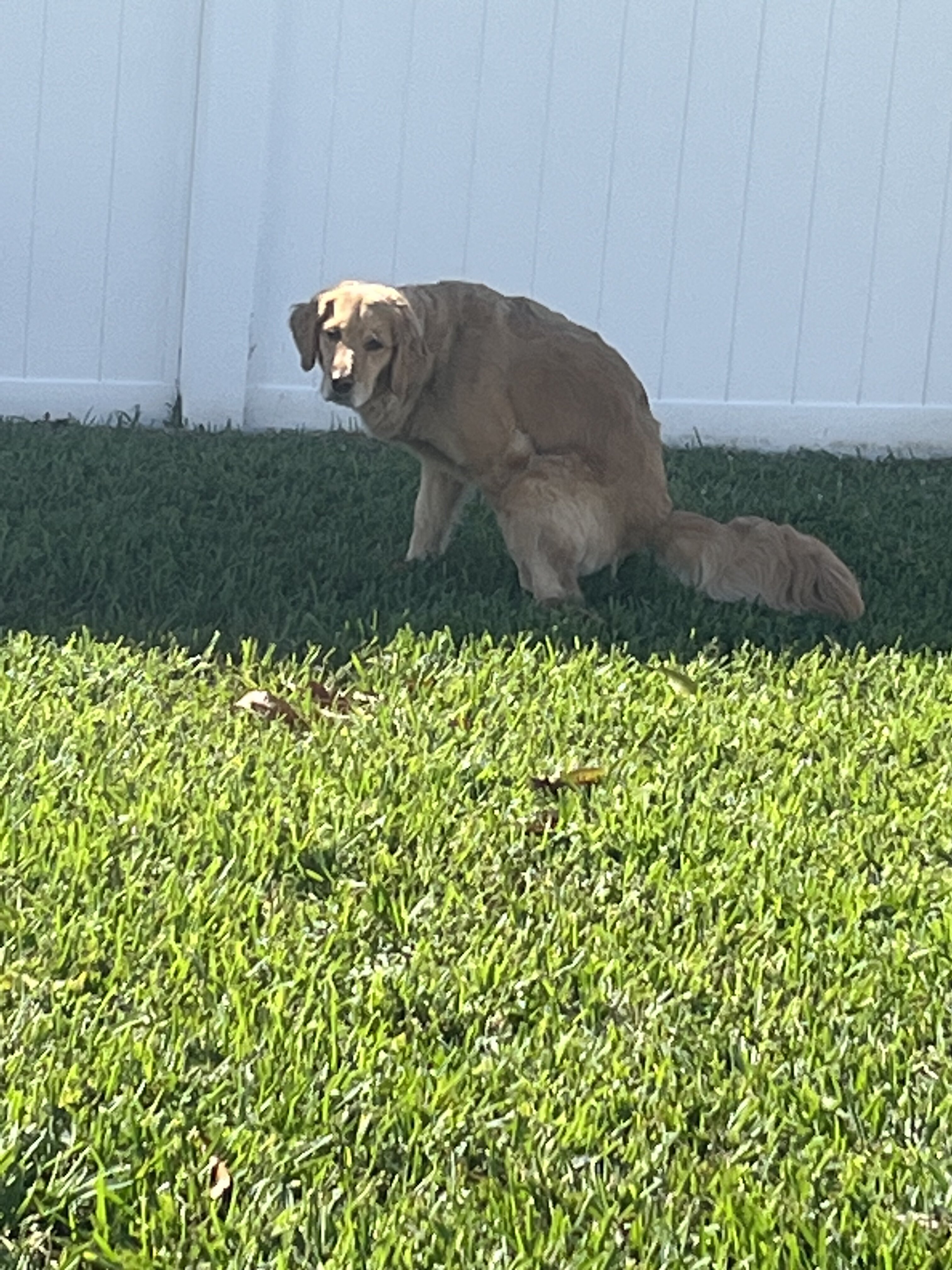 DF9DC895 39C5 4A4B 8ABF 304838183F7B