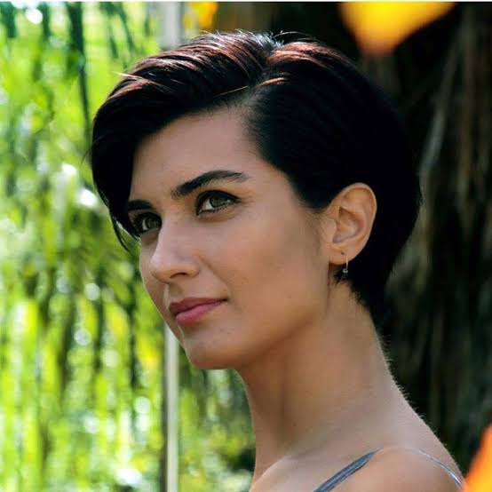 Images   2025 02 27T102618340