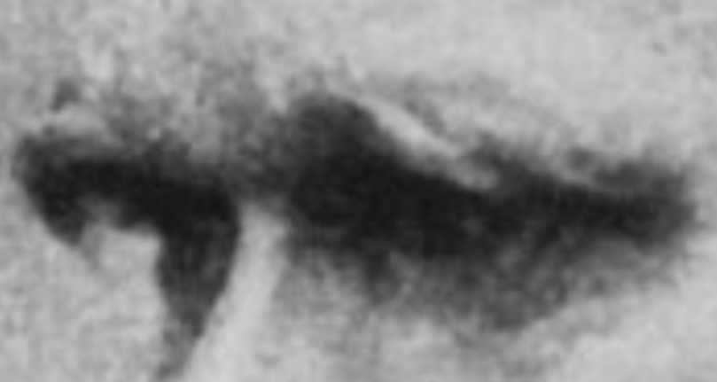 Screenshot 20250227 131845 1