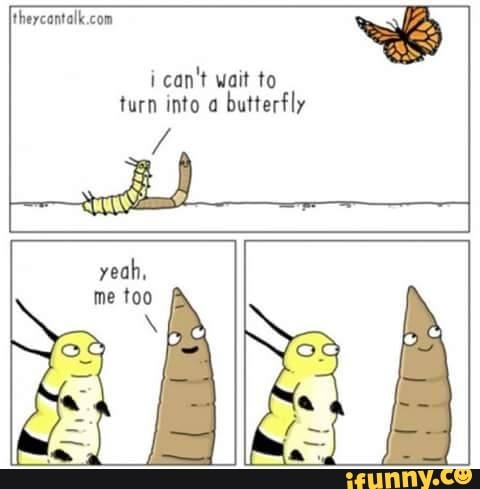 1740748621311