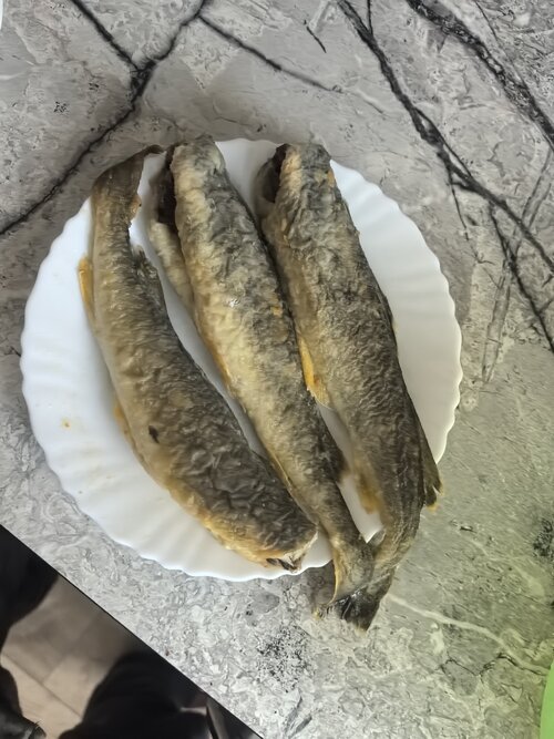 IMG_20250210_171814.jpg