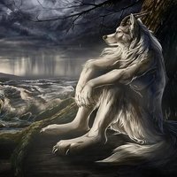 501D7139 C0DF 4635 A2EE 0334AC9FB3D5