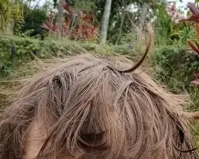 Screenshot 2025-02-17 050155.png