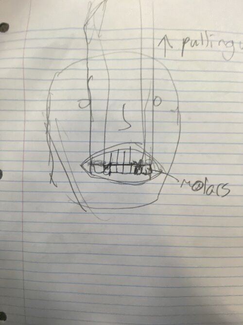 IMG_2889.jpeg