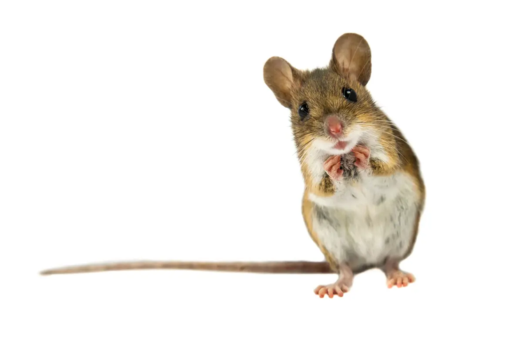 1740105923250.png