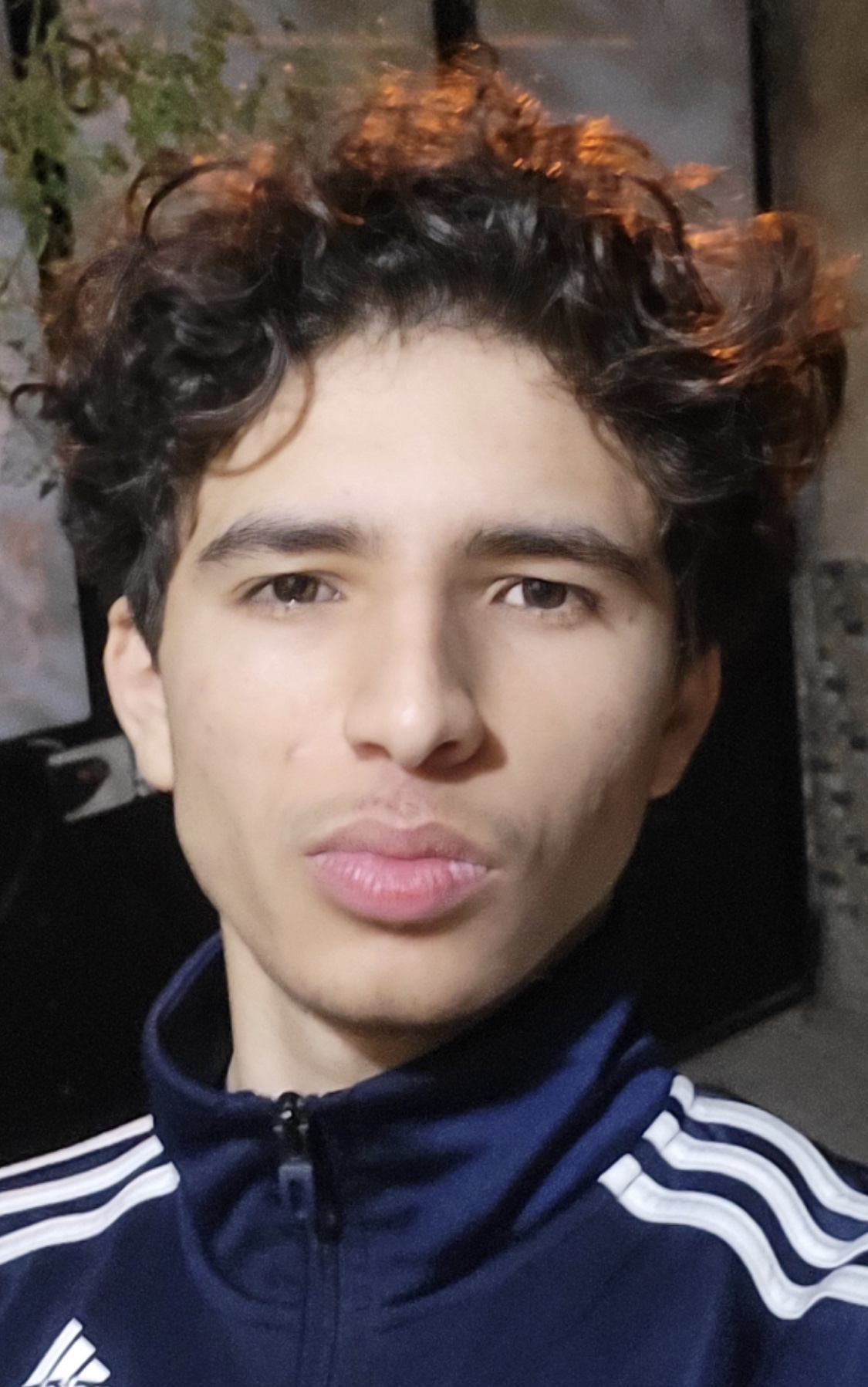 IMG 1338