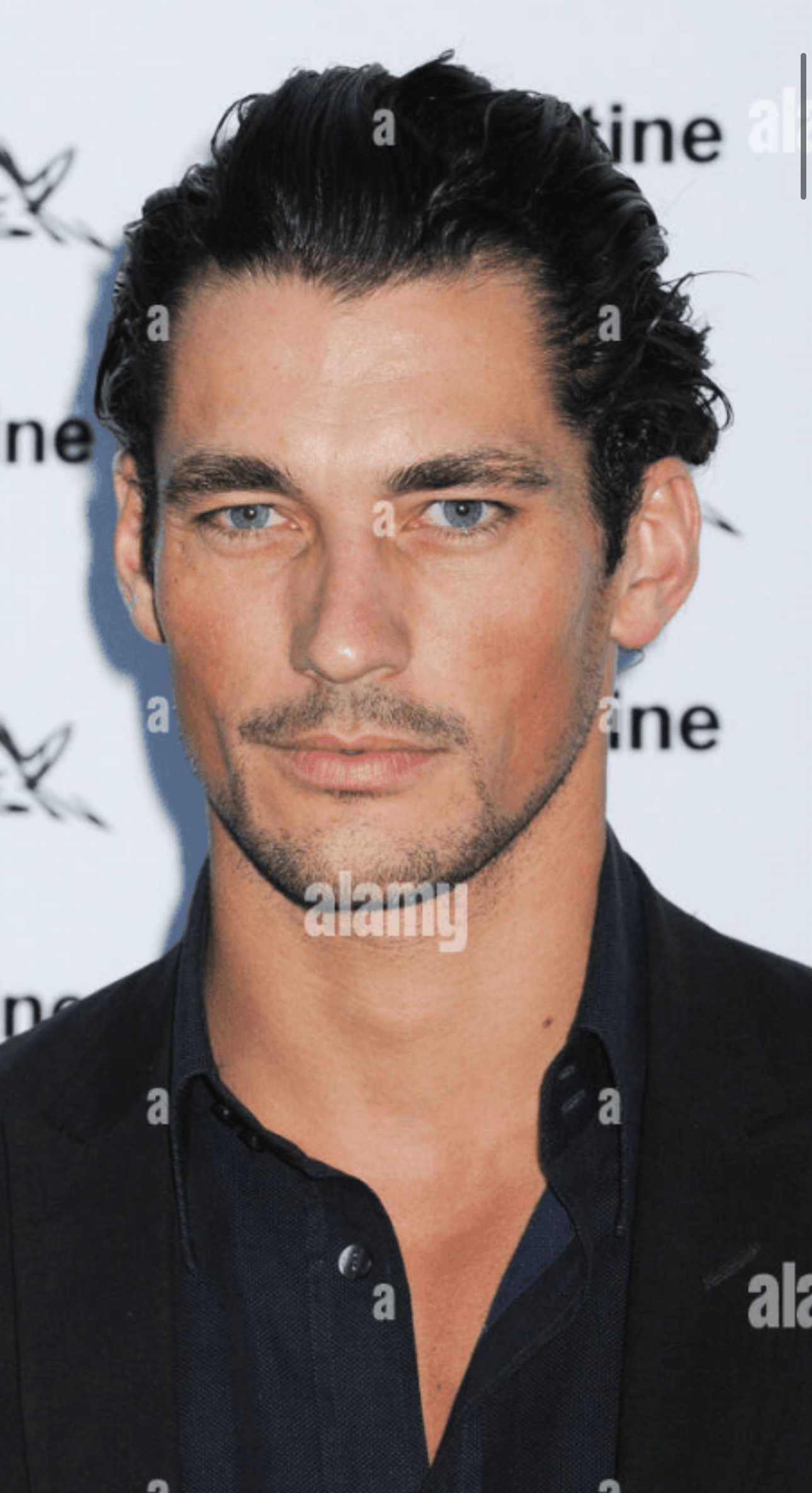 4749010 4723688 IMG 2779