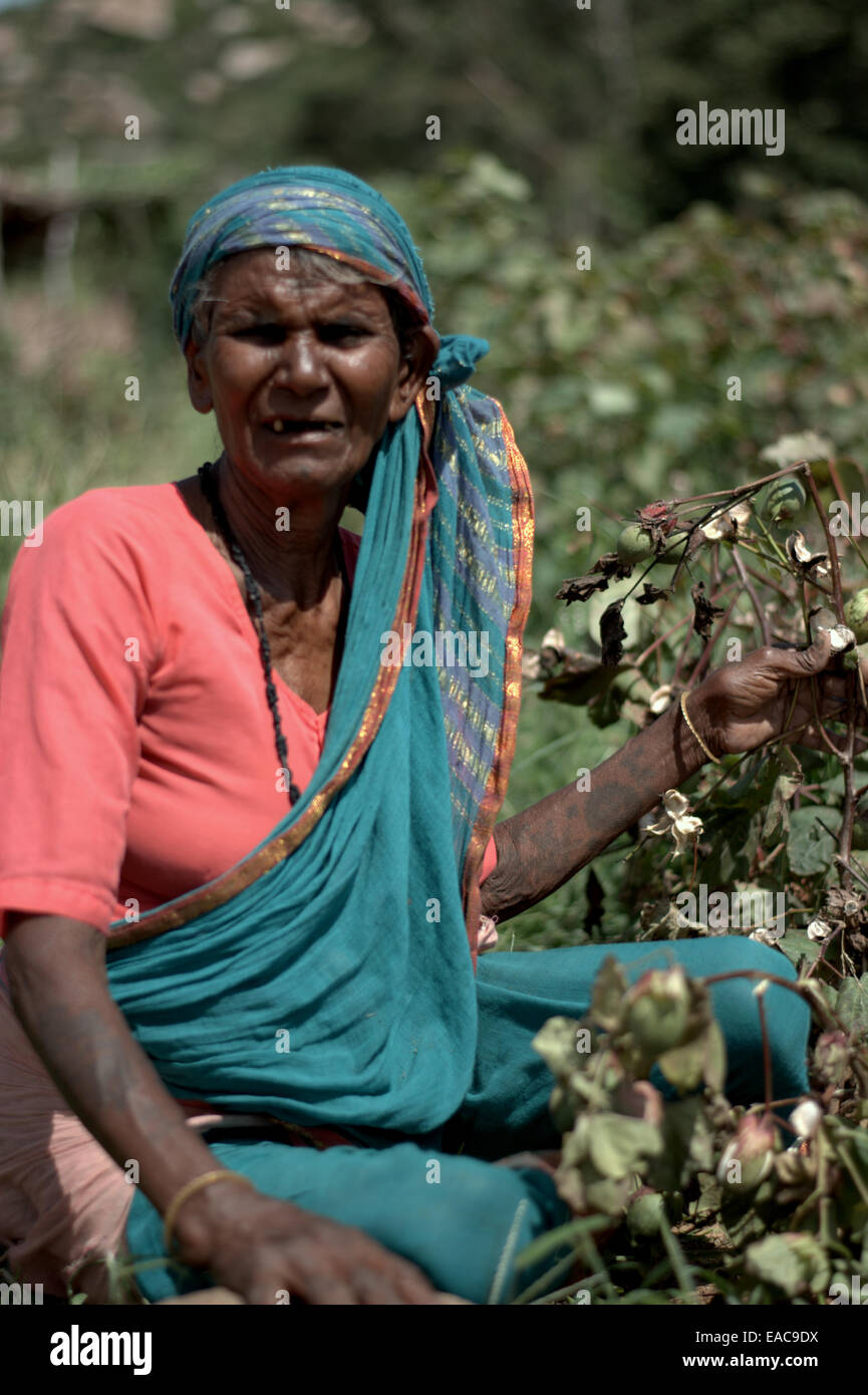 Karnataka south indian tribal women farming hampi EAC9DX