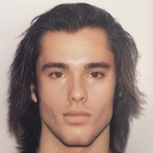 Parry luke image