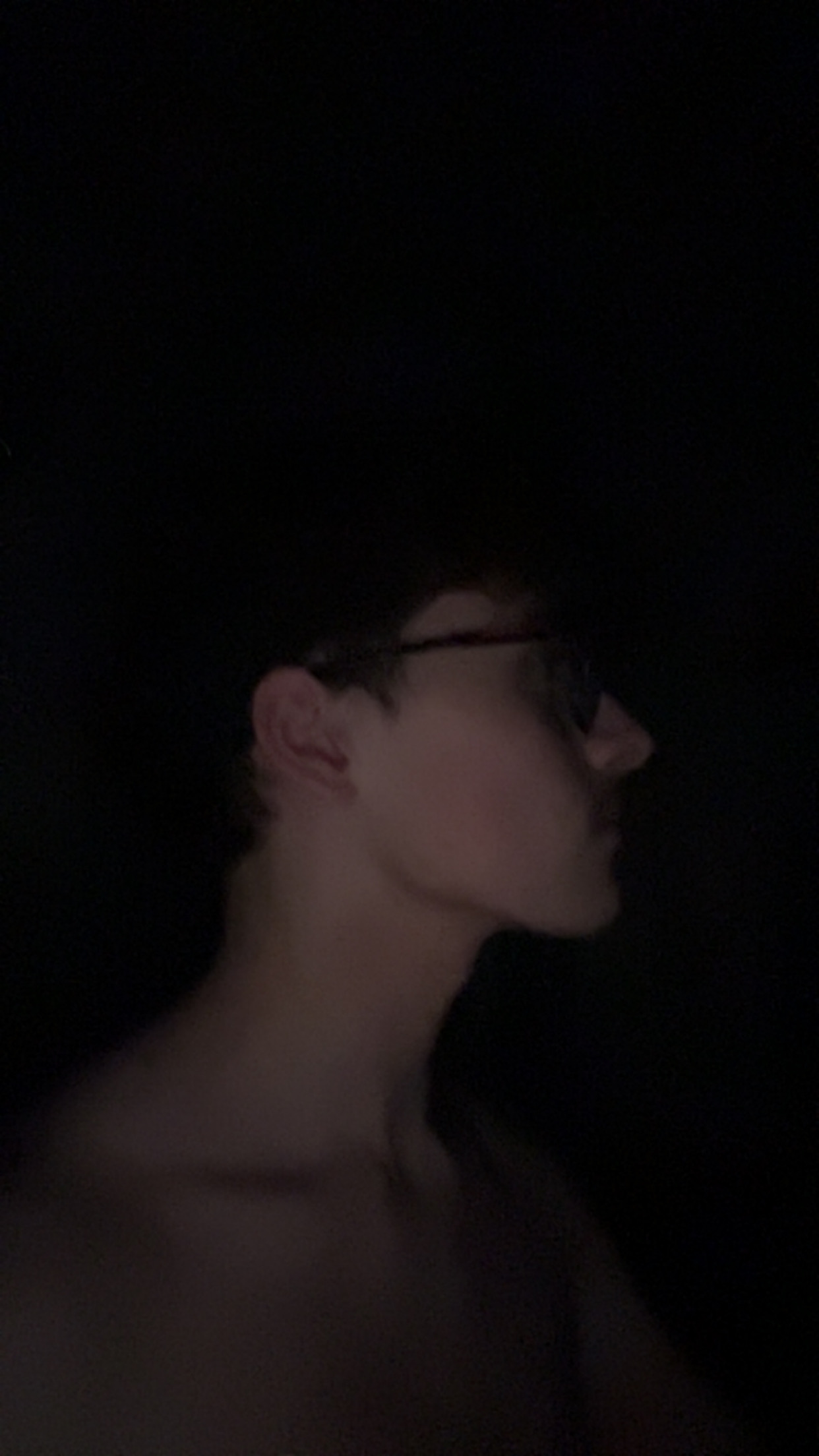 IMG 2641