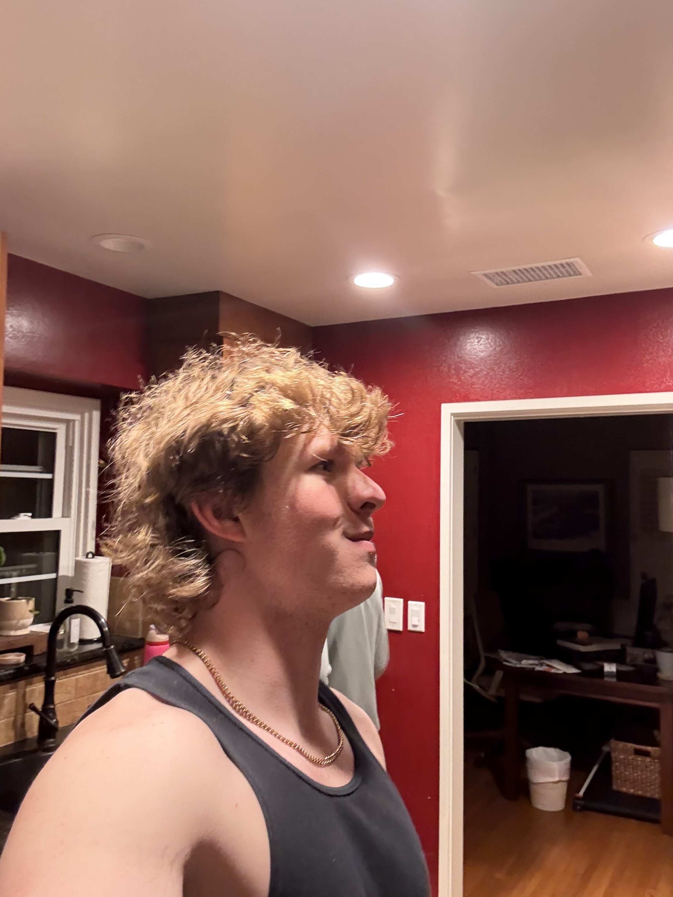 IMG 8329