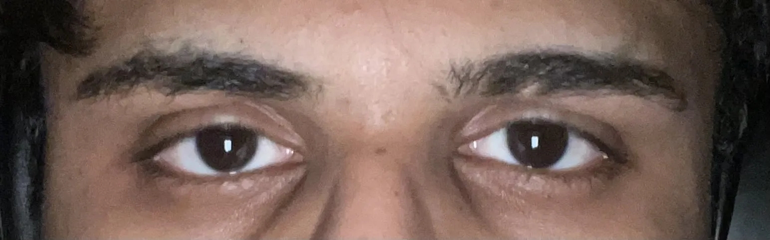1741333454993
