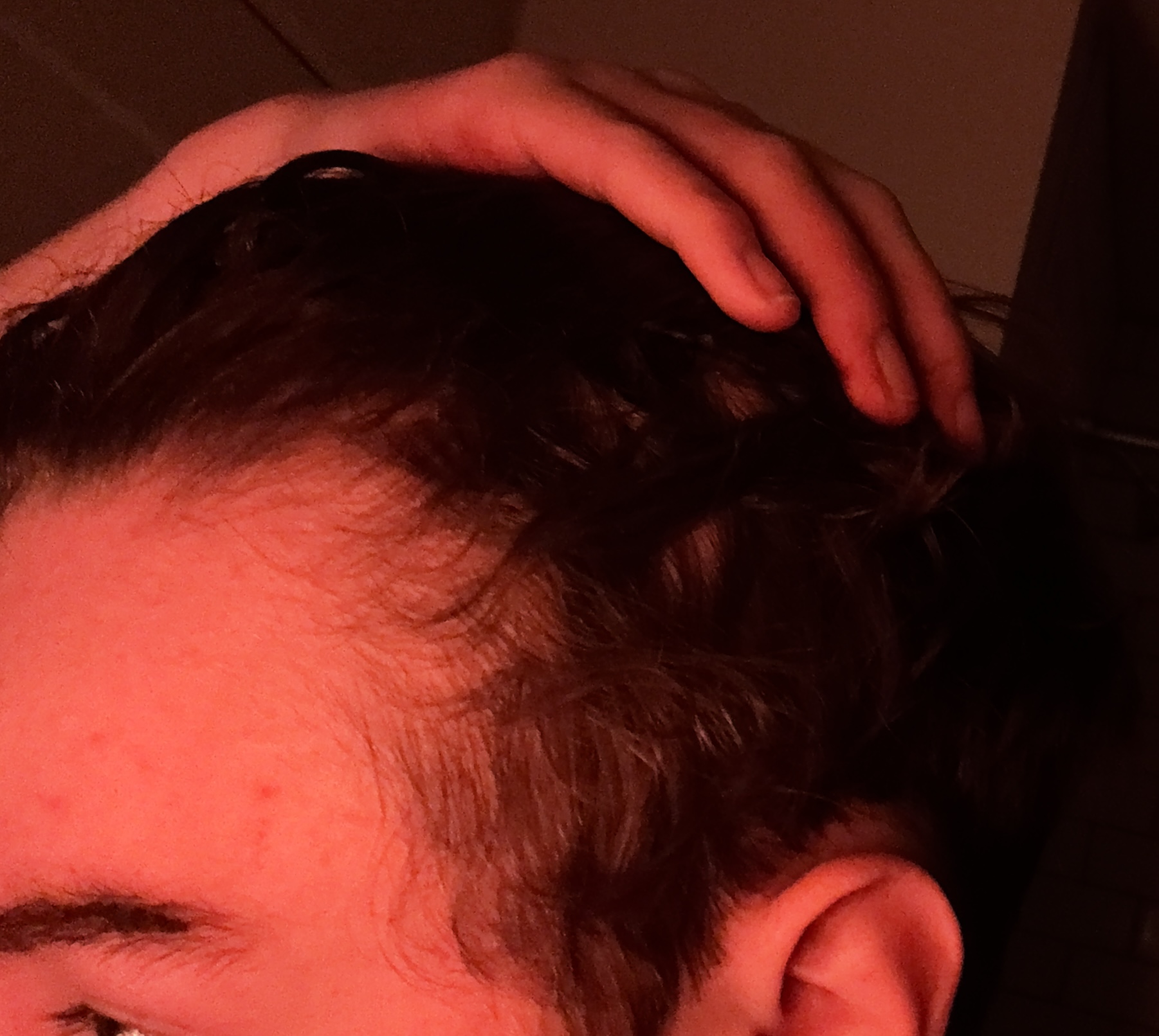 IMG 3575