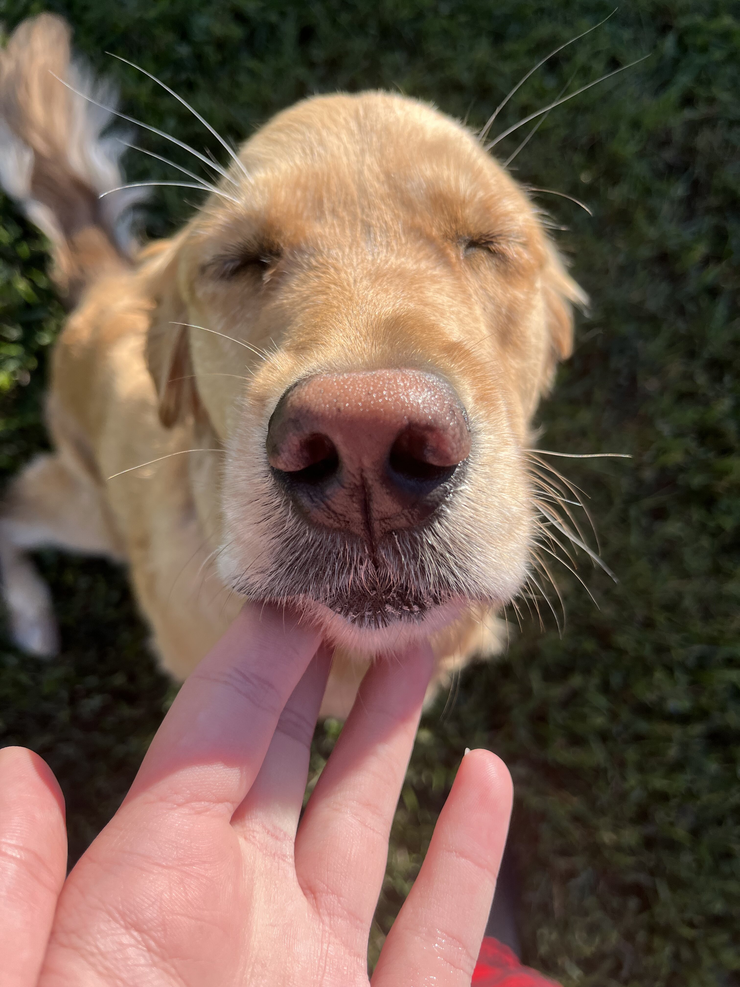 CF936756 CB2E 4144 A0C3 D7A79DEA8432