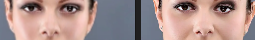 1000027040