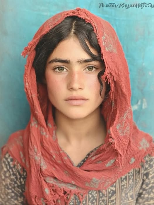 481248837 1045143620975247 1023293893884550996 n