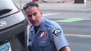 Image result for george floyd killer