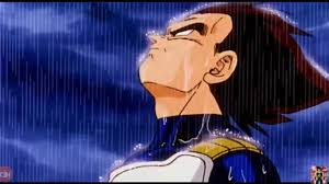 Images 6