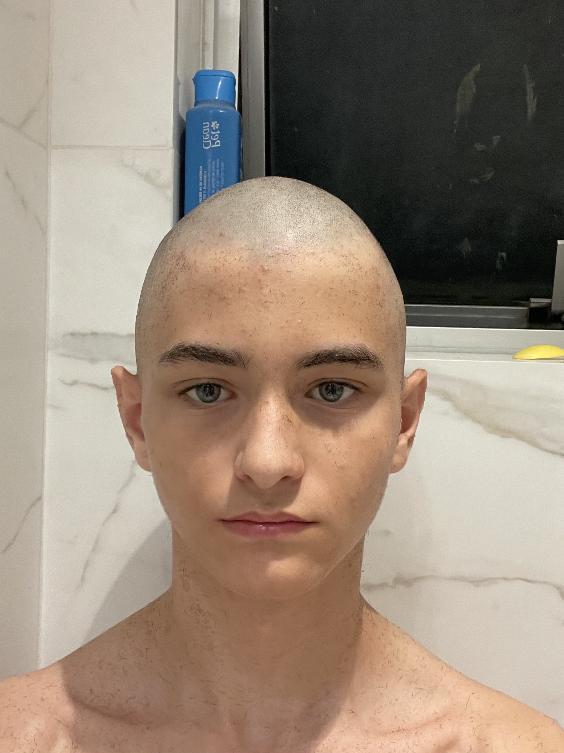 IMG 1793
