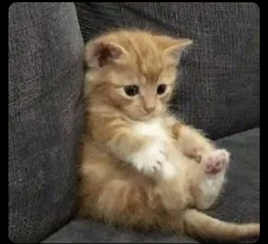 Screenshot 20250310 153422 X