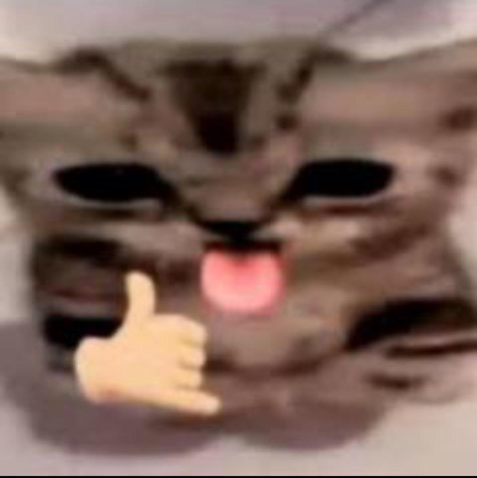 20250309 234318