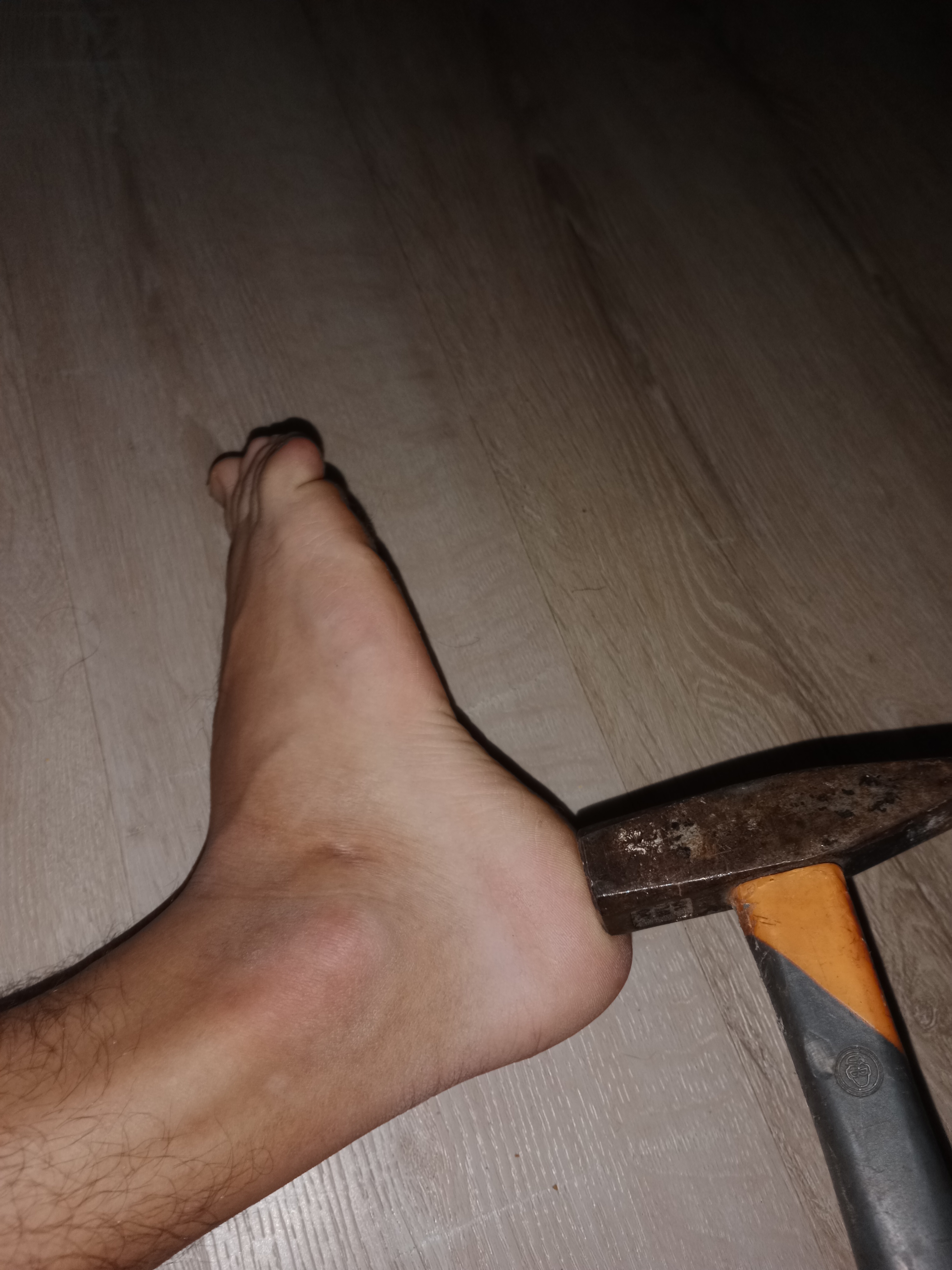 IMG 20250312 103943