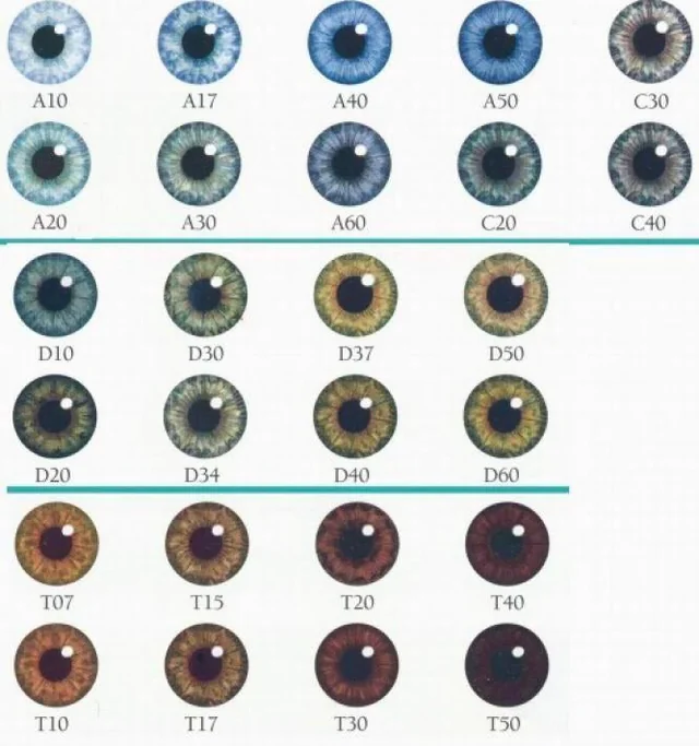 1741876765840