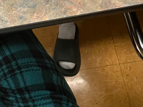 IMG 1318