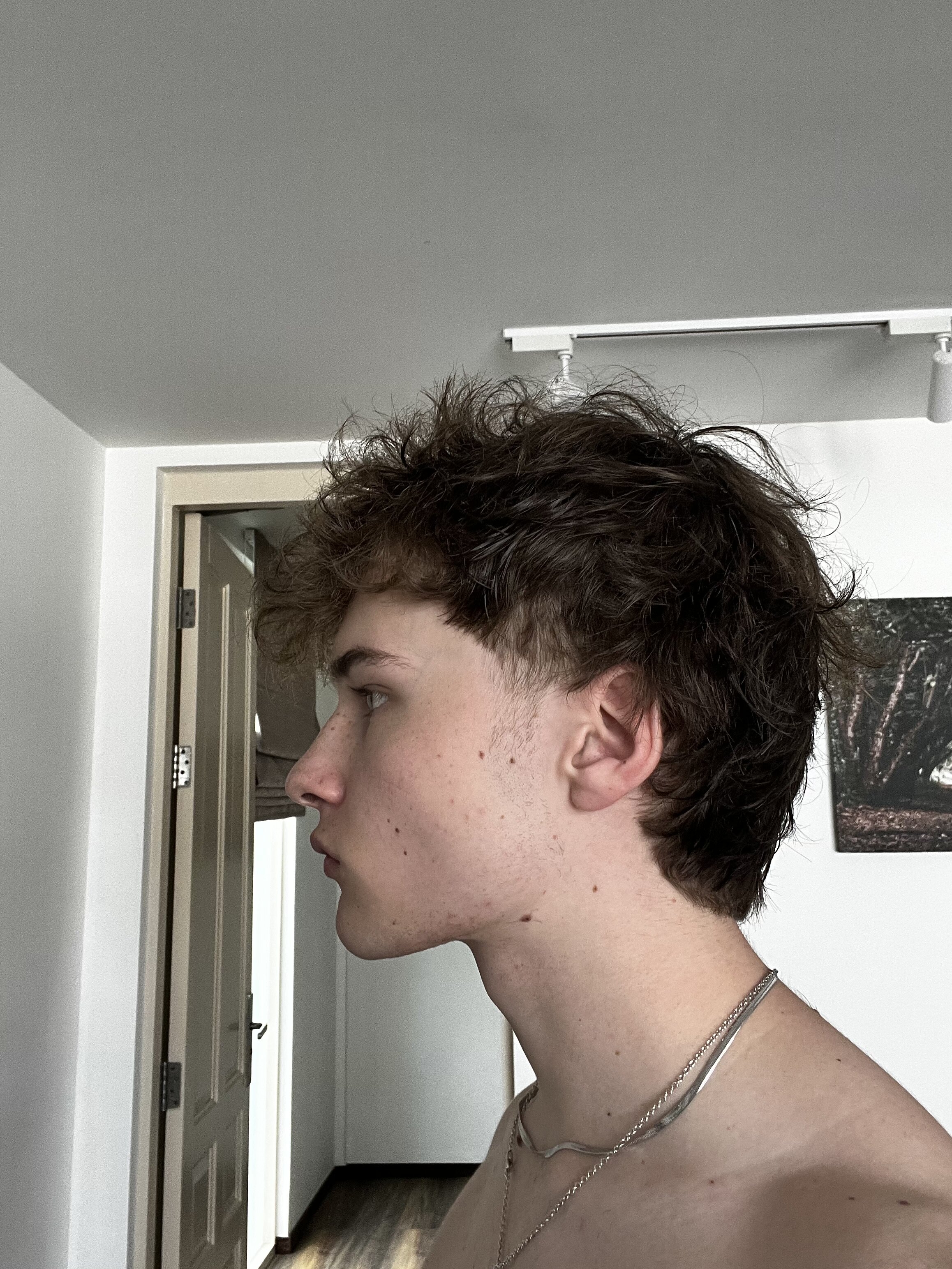 IMG 1943