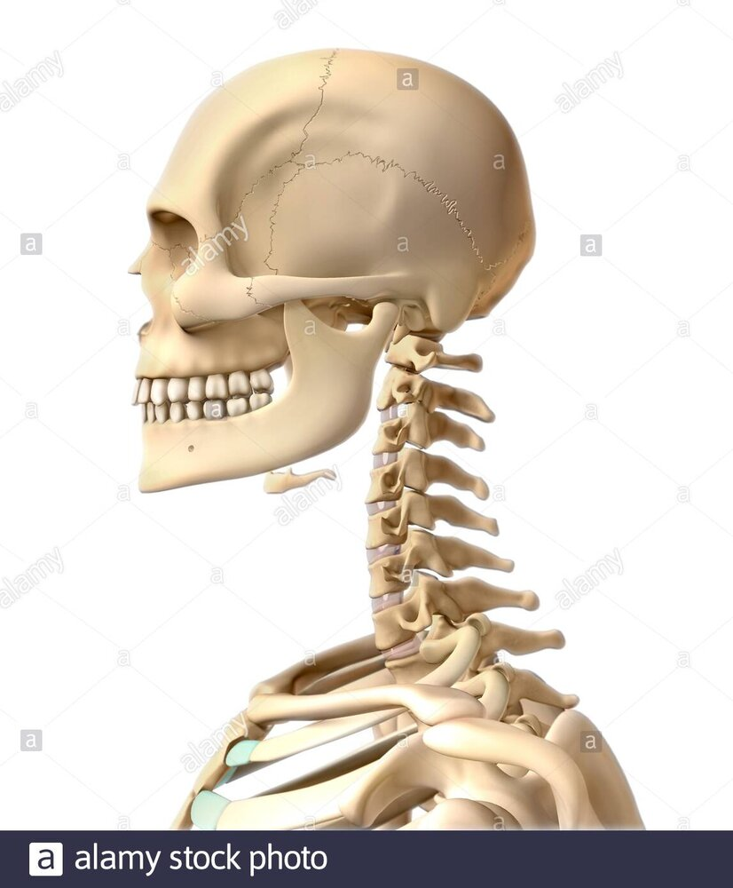 1741898115798