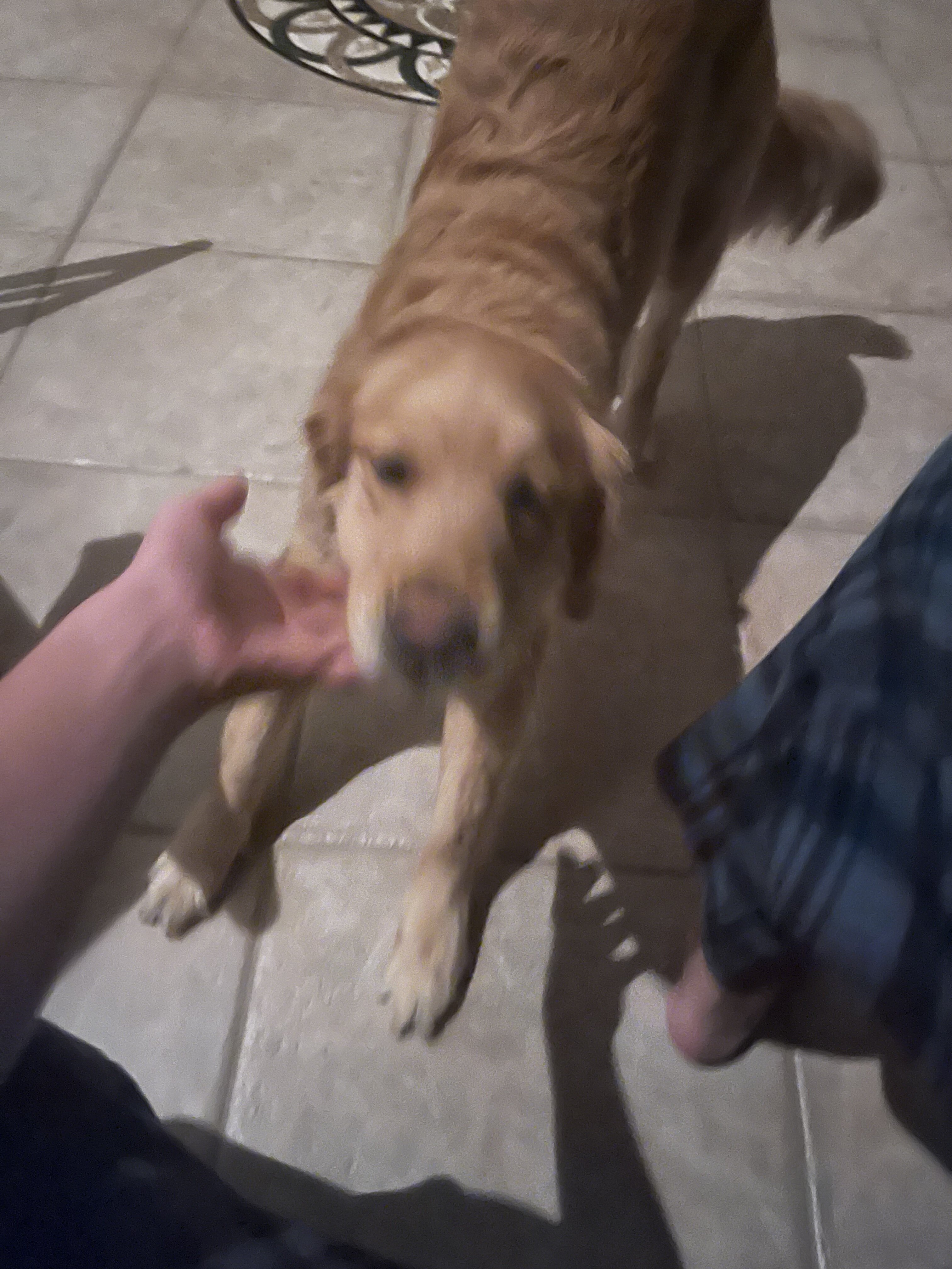 E5980603 878C 405D BCAF CB4E443A9937