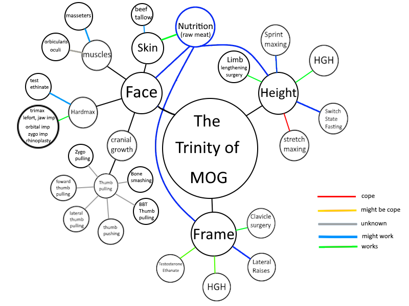 Trinity of mog