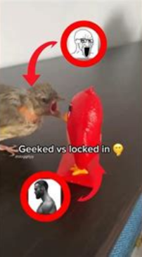 Screenshot 2025 03 15 at 01 17 25 geeked vs locked in at DuckDuckGo