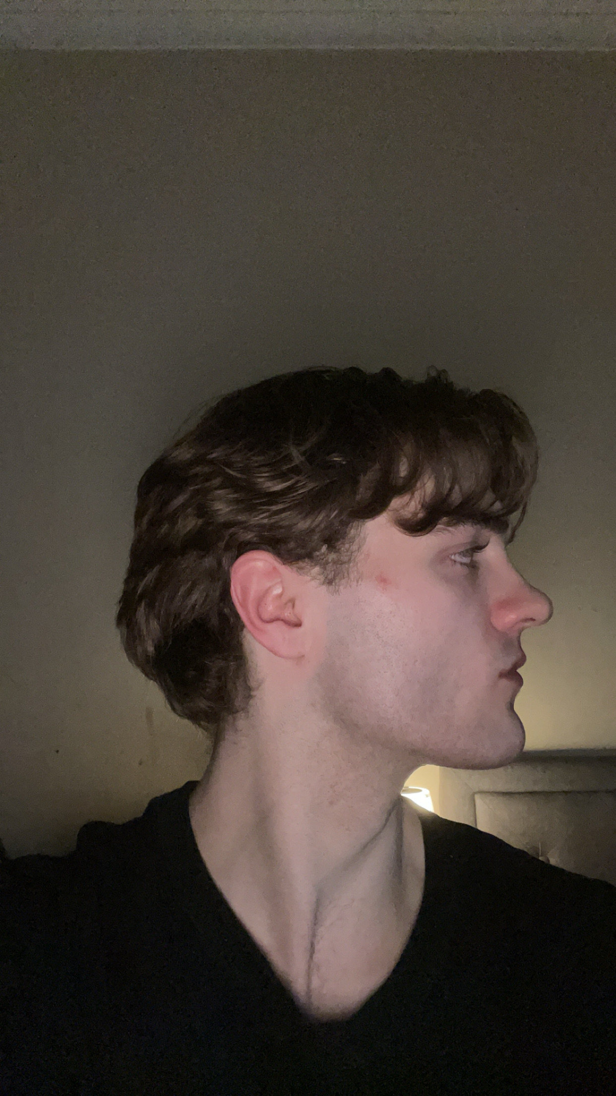 IMG 0686
